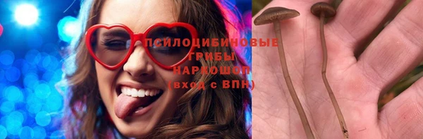 дурь Володарск