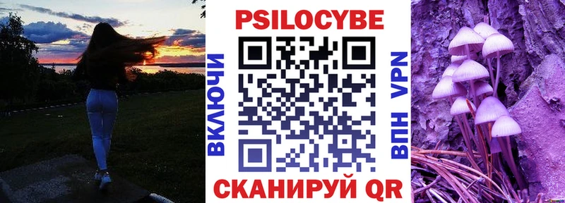 Псилоцибиновые грибы Magic Shrooms  Тамбов 